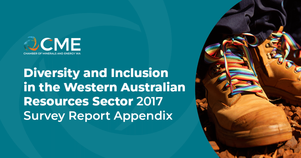 Diversity and Inclusion in the WA Resources Sector – 2017 Survey Report Appendix