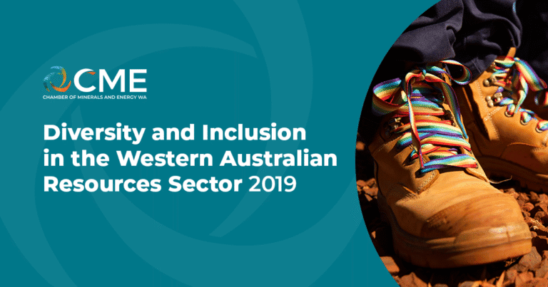 Diversity and inclusion in Western Australian mineral resources sector 2019 conference image featuring colorful work boots on rocky ground.