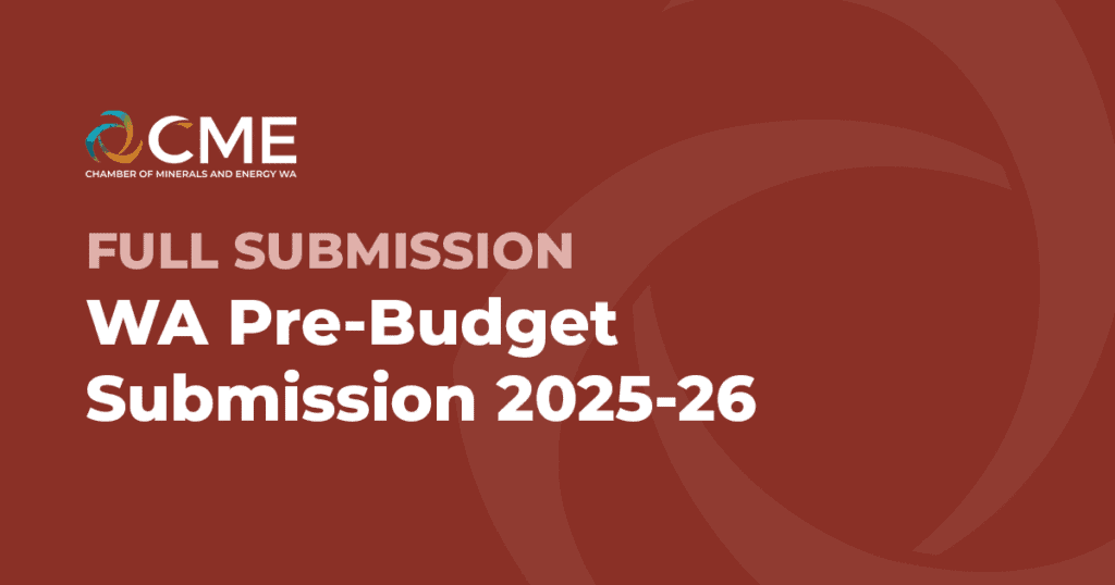 WA Pre-Budget Submission 2025-26 – Full Submission