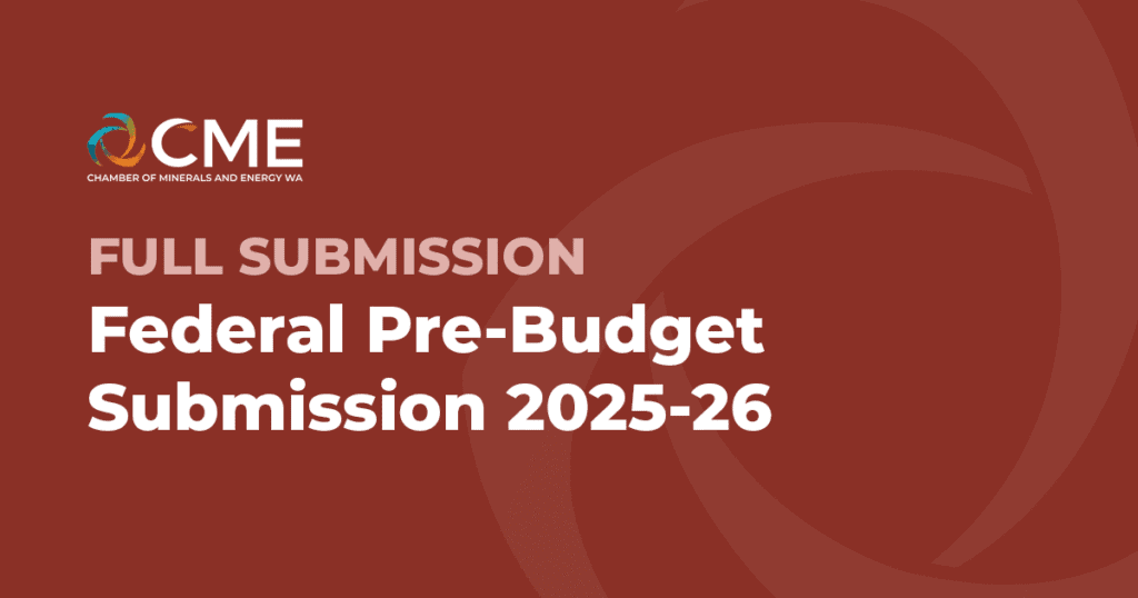 Federal Pre-Budget Submission 2025-26 – Full Submission
