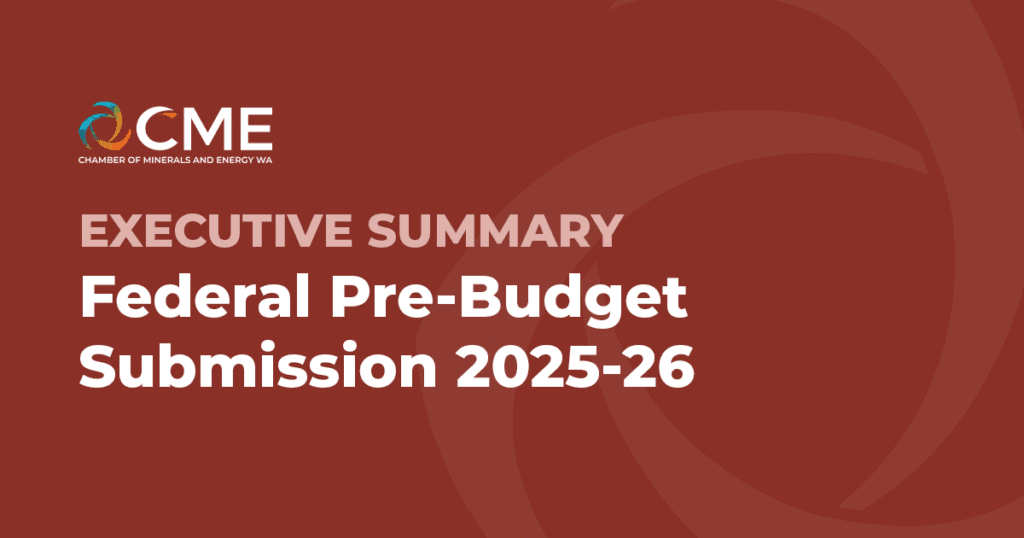 Federal Pre-Budget Submission 2025-26 – Executive Summary